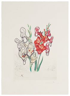 Salvador Dali, (1904-1989), "Gladiolus cum aurium corymbo expectantium," from the "Surrealist Flowers" suite, 1972, Offset color lithograph and drypoi
