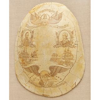 Decorative scrimshaw style turtle shell