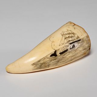 Scrimshaw tooth with whaling scene