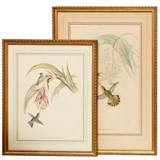 J. Gould, (2) hummingbird lithographs