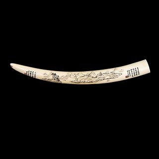 Chinese Scrimshaw Carved Ivory Walrus Tusk