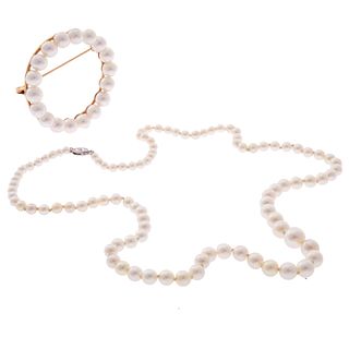 Collection of Cultured Pearl, 14k, 10k Jewelry Items