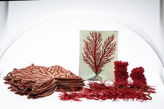Beaded Coral Placemats, Napkin Rings & Serving Plate