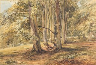 David Hall McKewan, Deer in a Cove of Trees, W/C