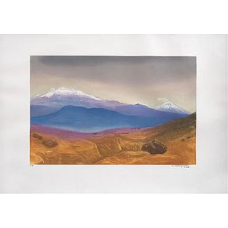 LUIS NISHIZAWA. Volcanes. Firmado. Grabado al aguafuerte y aguatinta P / A. 55 x 36 cm