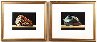 2 John Arbuckle orig Seashell prints