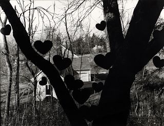 Martin Prekop 2000 photograph Tree & Hearts II