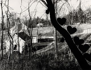 Martin Prekop 2000 photograph Tree & Hearts