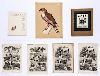 Collection of Animal Theme Prints