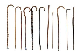 Group of Wooden Canes and Walking Sticks