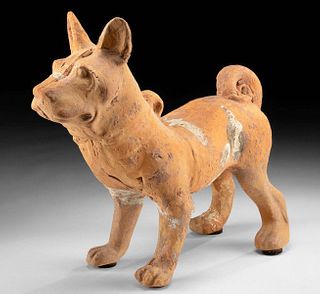 Chinese Han Terracotta Guardian Dog w/ Glazed Harness