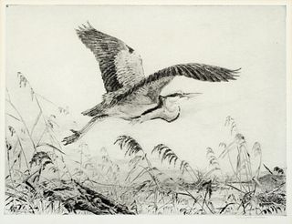 Winifred Austen (1876-1964) 'Heron Making Off'