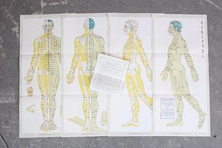 Set of 4 Anatomical Medical Charts of Acupuncture Points