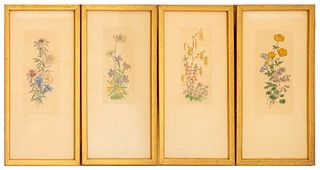 Illegibly Signed Hand Colored Botanical Engravings