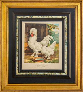 Cassell's Poultry Book "Sultan Fowls" Print