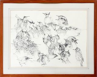 NORMAN BRUMM INK DRAWING YOUNG BIRDS