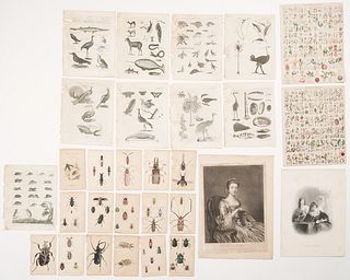 19th Century Print Collection