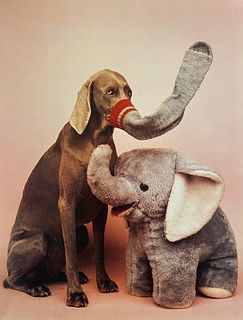 William Wegman, Elephant