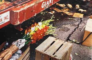 Vivian Maier, Chicagoland, 1977
