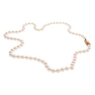 Mikimoto, Cultured Pearl, 18k Yellow Gold Necklace