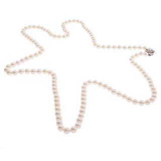 Long Cultured Pearl, Sterling Silver Necklace