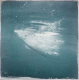 SHOSHANNAH WHITE, Svalbard Iceberg #15
