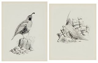Gene Dieckhoner, (b. 1940), "Gambel Quail," and "Mountain Quail, " 1978, Ink on paper