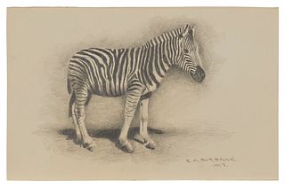 Elbridge Ayer Burbank (1858-1949), iChapmanis-Zebra,i 1943, Graphite on cream-colored paper, Image/Sheet: 7.25" H x 11.25" W