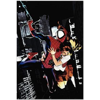Marvel Comics "Ultimatum: Spider-Man Requiem #1" Numbered Limited Edition Giclee on Canvas by Stuart Immonen with COA.
