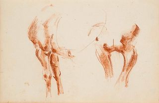 Focke, Wilhelm H. 1878 - Bremen - 1974. study of a horse. Washed red chalk drawing/paper,