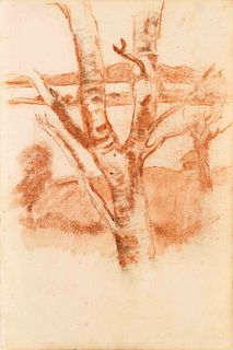 Focke, Wilhelm H. 1878 - Bremen - 1974. study of a birch trunk. 1941-43. red chalk, brush, and