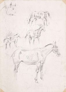 Focke, Wilhelm H. 1878 - Bremen - 1974. 2 pencil drawings/solid paper, horse studies, verso horse