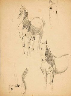 Focke, Wilhelm H. 1878 - Bremen - 1974. 4 fol. Horse studies, pencil/brown paper, 1910-40s,