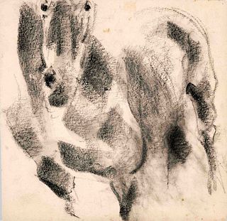 Focke, Wilhelm H. 1878 - Bremen - 1974. horse study. Charcoal drawing/paper. 1950s, unsigned,