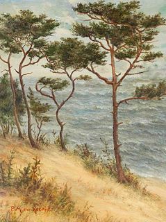 MÃ¼ller-Kaempf, Paul. 1861 Oldenburg - 1941 Berlin. Steep coast at the Baltic Sea. Oil/cardboard,