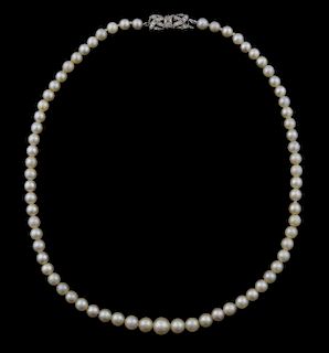 Pearl necklace with white gold clasp, pearls very slightly graduated,  39 cm