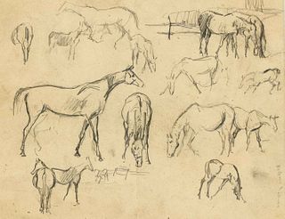 Helene BÃ¼ttner (1861-1947), Austrian horse painter, various horse studies in pencil on paper, signed/marked on the right, 21 x 27 cm, framed behind g