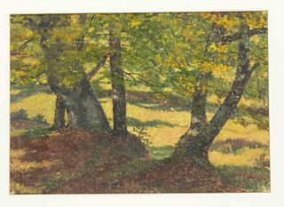 Max Moser (1880-1965), German-Austrian painter and graphic artist from Innsbruck. Autumnal woodland, tempera on paper, signed ''Moser'' in pencil lowe