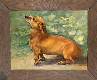 R. Taeger, 1st half of 20th century, portrait of a dog, oil on cardboard, signed upper right, 42 x 56 cm, framed 57 x 70 cm