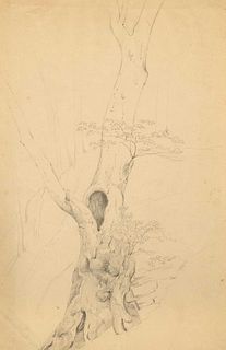Heinrich Dreber (1822-1875), attributed, study of a gnarled tree trunk, pencil on paper, inscribed ''Dreber'' on verso, 39 x 25,6 cm