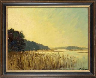 H. Peterson, Danish, mid-20th century, reedy shore on a river, oil on cardboard, signed lower right, rubbed, 34 x 42 cm, framed 40 x 50 cm