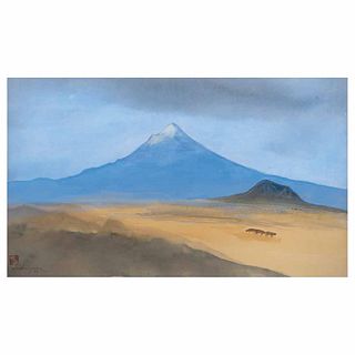 LUIS NISHIZAWA, El Popocatépetl desde el Valle de Tlayacapan, Firmada y con gago in, Tinta saiboku/papel torinoko, 42x71cm, Certificado