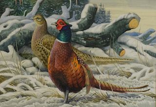 David Binns study of Pheasants signed watercolour 24cm x 33cm