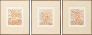Guillaume Azoulay Set of 3 Sepia color etchings on paper "From The Willow Suite"