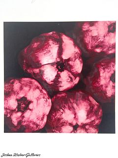 DONALD SULTAN 1994 LIMITED ED PRINT "Pomegranates"