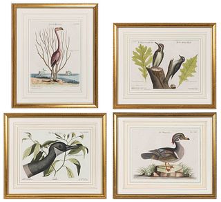 AFTER MARK CATESBY (BRITISH, 1682-1749) ORNITHOLOGICAL PRINTS, LOT OF FOUR