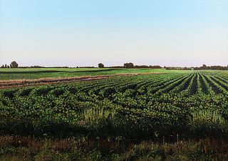 Harold Gregor Illinois Landscape #24 Oil
