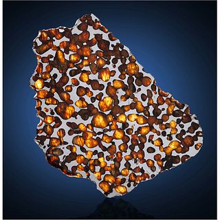 Erg Chech 007 Pallasite Meteorite Slice