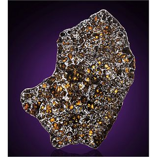 Admire Pallasite Meteorite Complete Slice