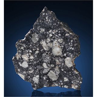 NWA 12691 Lunar Meteorite End Piece